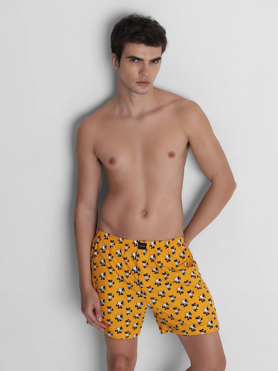 Orange Doggo Print Cotton Boxers - Image 5