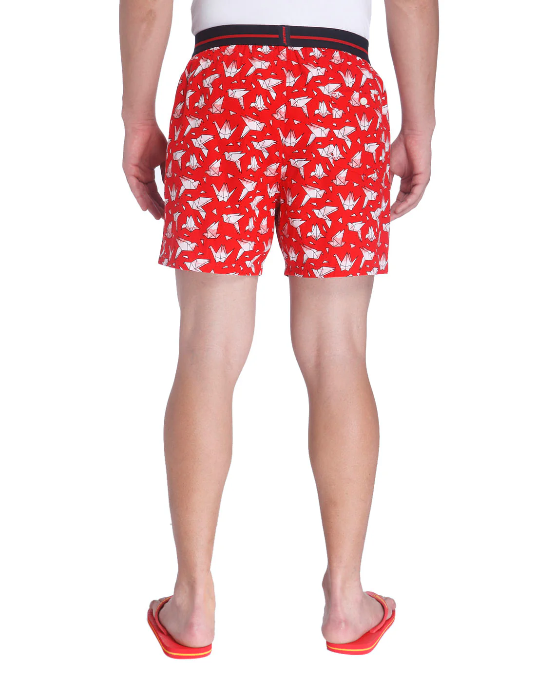 Boxer - Image 4
