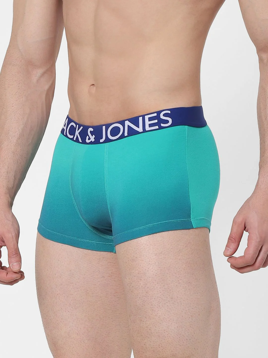 Blue Ombre Brazilian Trunks - Image 2