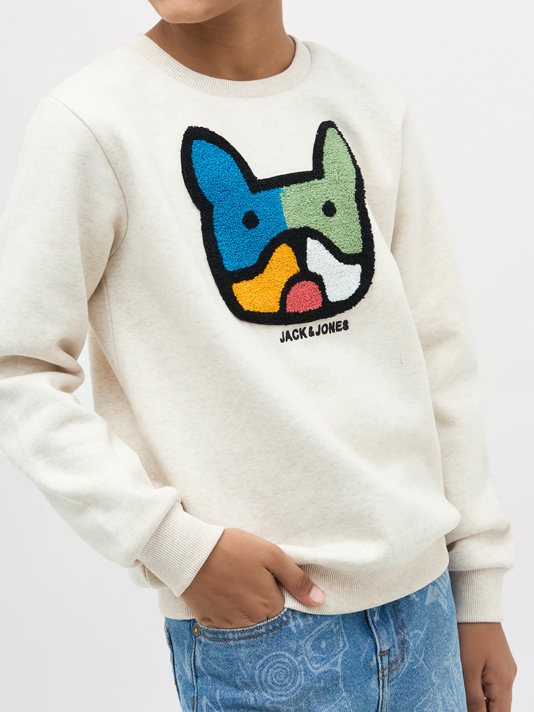 Boys Cotton Off White Crew Neck Sweatshirt With Dog Embroidery - Image 6