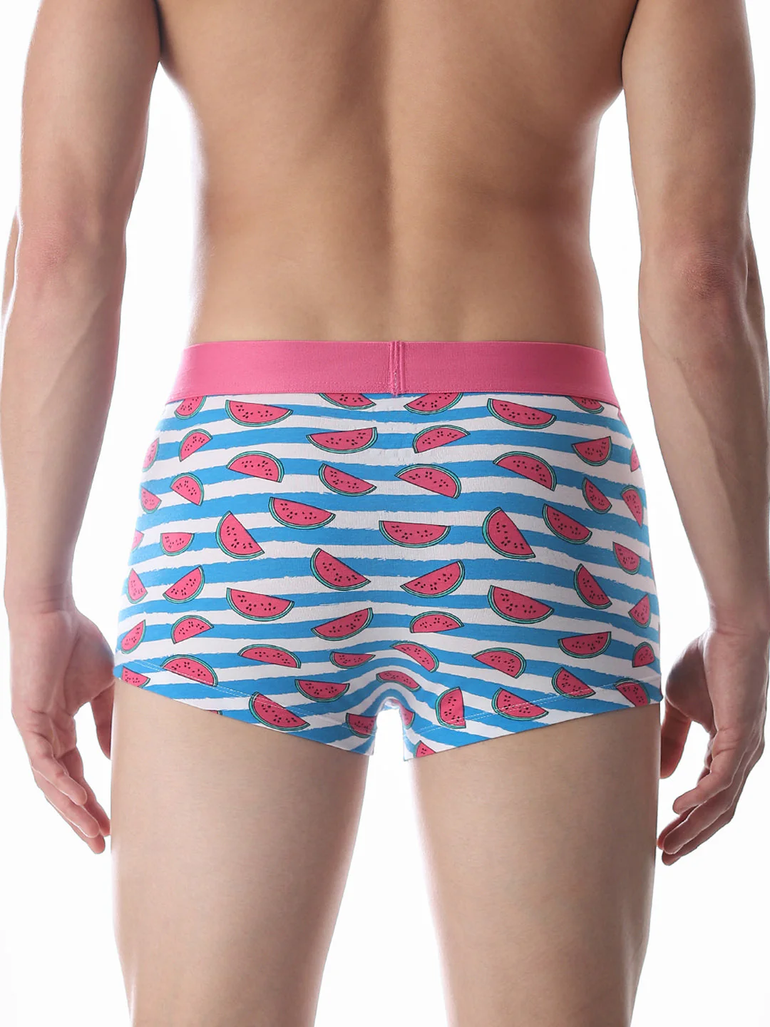 Blue Watermelon Striped Print Trunks - Image 3